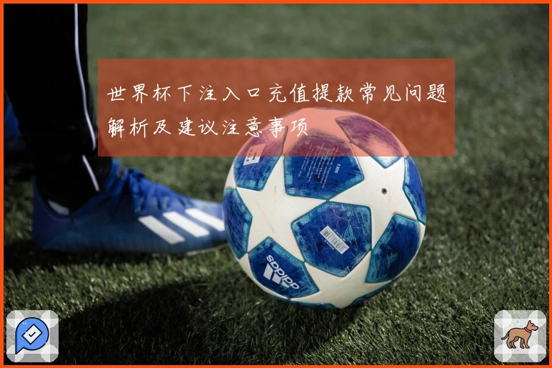 世界杯下注入口充值提款常见问题解析及建议注意事项