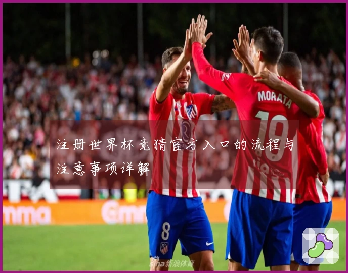 注册世界杯竞猜官方入口的流程与注意事项详解