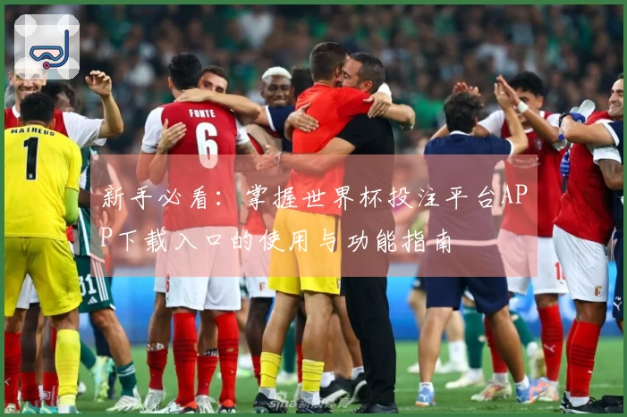 新手必看：掌握世界杯投注平台APP下载入口的使用与功能指南
