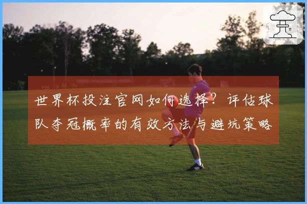 世界杯投注官网如何选择？评估球队夺冠概率的有效方法与避坑策略