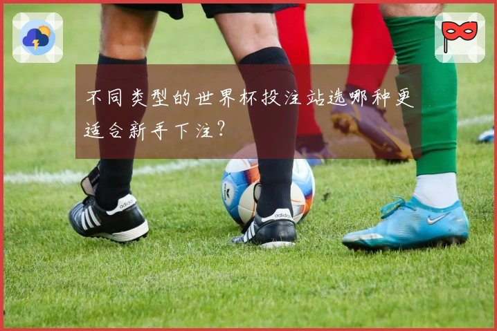 不同类型的世界杯投注站选哪种更适合新手下注？
