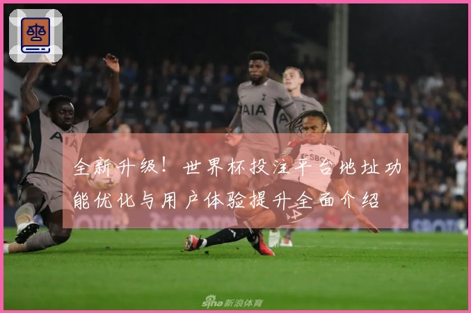 全新升级！世界杯投注平台地址功能优化与用户体验提升全面介绍