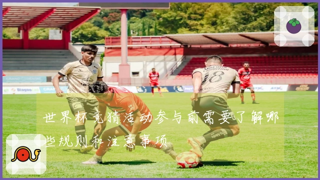 世界杯竞猜活动参与前需要了解哪些规则和注意事项
