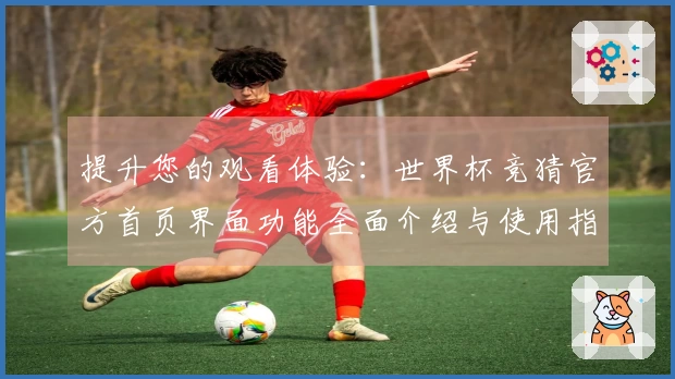 提升您的观看体验：世界杯竞猜官方首页界面功能全面介绍与使用指南