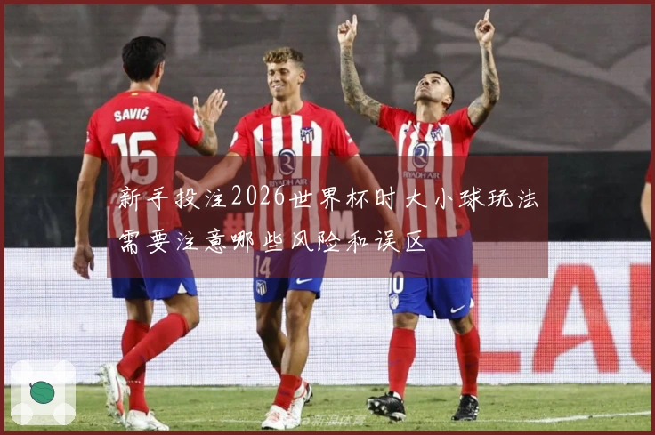 新手投注2026世界杯时大小球玩法需要注意哪些风险和误区