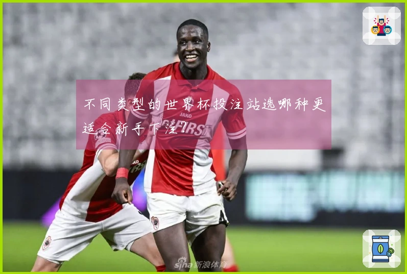 不同类型的世界杯投注站选哪种更适合新手下注？