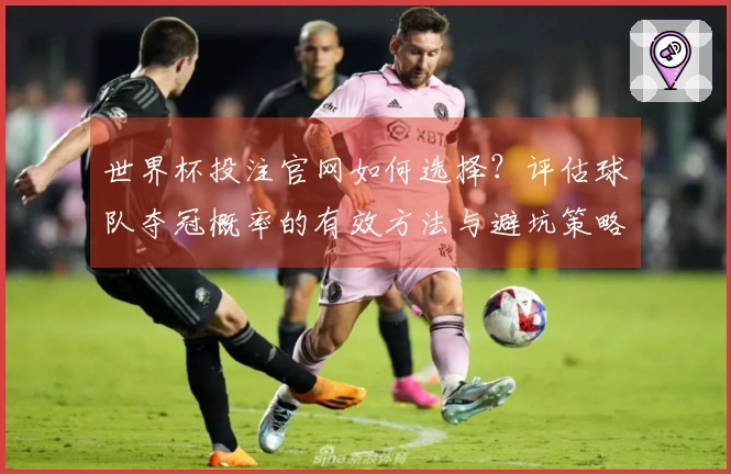 世界杯投注官网如何选择？评估球队夺冠概率的有效方法与避坑策略