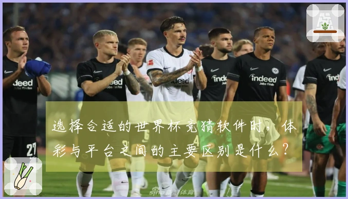 选择合适的世界杯竞猜软件时，体彩与平台之间的主要区别是什么？