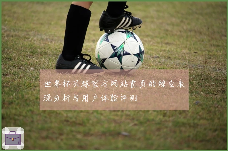 世界杯买球官方网站首页的综合表现分析与用户体验评测