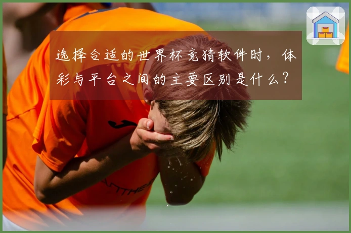 选择合适的世界杯竞猜软件时，体彩与平台之间的主要区别是什么？