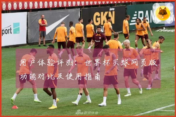 用户体验评测：世界杯买球网页版功能对比及使用指南