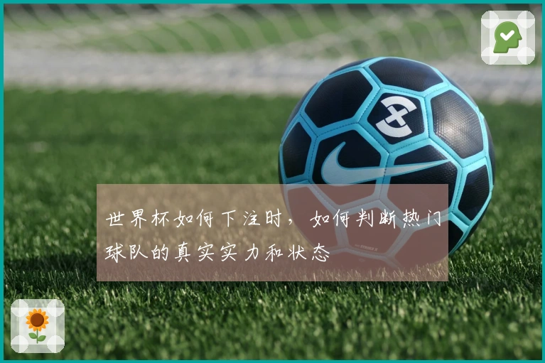 世界杯如何下注时，如何判断热门球队的真实实力和状态