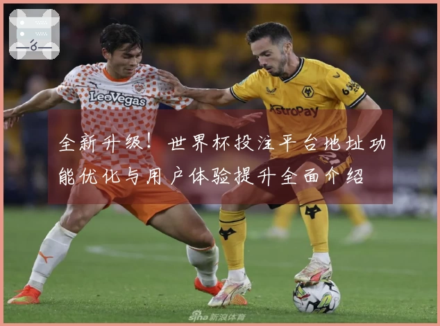 全新升级！世界杯投注平台地址功能优化与用户体验提升全面介绍
