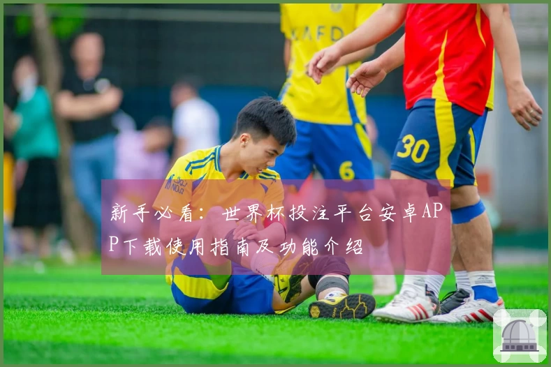 新手必看：世界杯投注平台安卓APP下载使用指南及功能介绍