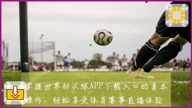 掌握世界杯买球APP下载入口的基本操作，轻松享受体育赛事直播体验