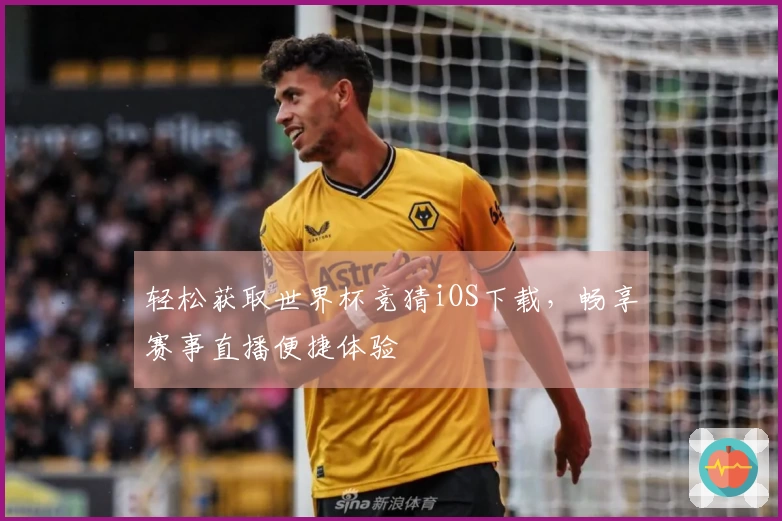 轻松获取世界杯竞猜iOS下载，畅享赛事直播便捷体验