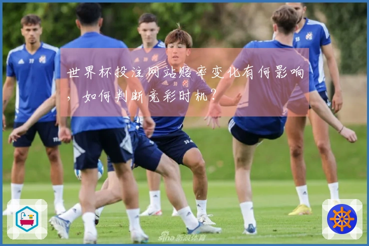 世界杯投注网站赔率变化有何影响，如何判断竞彩时机？