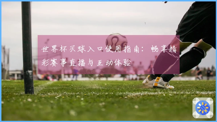 世界杯买球入口使用指南：畅享精彩赛事直播与互动体验