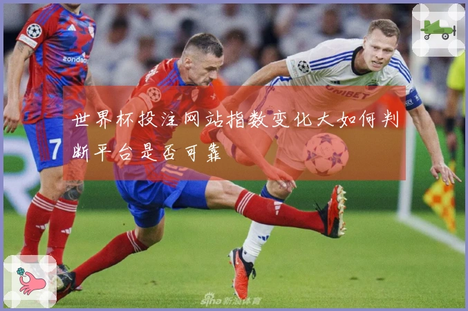 世界杯投注网站指数变化大如何判断平台是否可靠